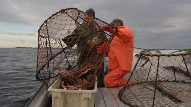 Deux pêcheurs relèvent des filets de pêche.