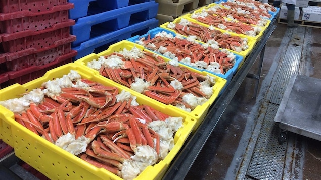 Transformation du crabe Transformation du crabe