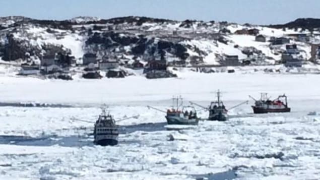 Les crabiers n'arrivent pas à passer au travers de la glace. Les crabiers n'arrivent pas à passer au travers de la glace.