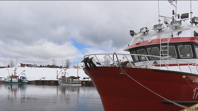 Crabiers à Sainte-Thérèse-de-Gaspé