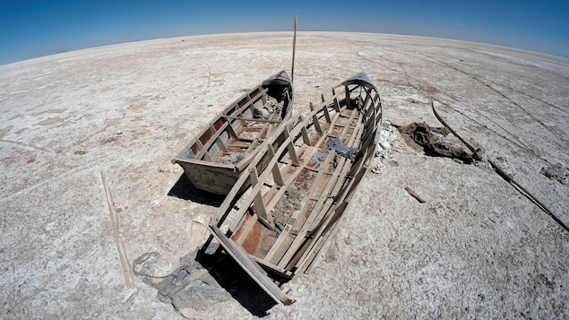 Carcasse de deux bateaux de bois abandonnés