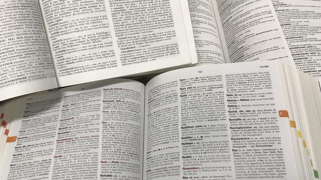 Des dictionnaires