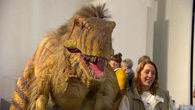 Un dinosaure Un dinosaure