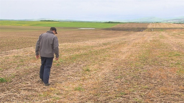 Selon une étude de la Coop fédérée, plus de la moitié des agriculteurs souffrent d'un niveau élevé de détresse psychologique. Selon une étude de la Coop fédérée, plus de la moitié des agriculteurs souffrent d'un niveau élevé de détresse psychologique.