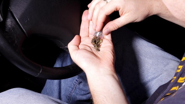 Un conducteur automobile se prépare un joint de cannabis.