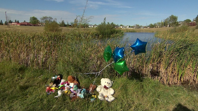 Des ballons flottent dans les airs, alors que des ours en peluche gisent sur le gazon entourant le bassin d'eau. Des ballons flottent dans les airs, alors que des ours en peluche gisent sur le gazon entourant le bassin d'eau.
