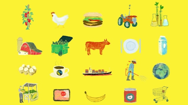 Des dessins de tomates, poule, hamburger, tracteur, ferme et oeufs sur fond jaune