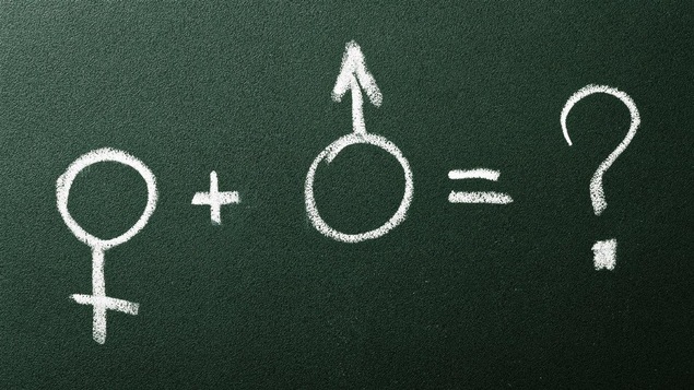 Un tableau vert sur lequel sont dessinés à la craie des symboles de genre masculin et féminin.