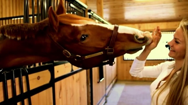 Une jeune femme et un cheval Une jeune femme et un cheval