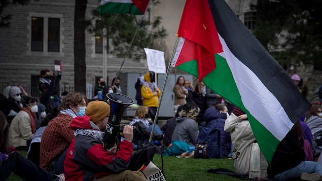 Des étudiants assis sur la pelouse munis de drapeaux et de pancartes en soutien à la Palestine.