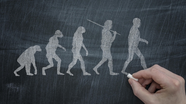 L'évolution humaine représentée par une illustration