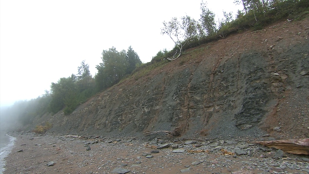 La falaise de Miguasha, en Gaspésie