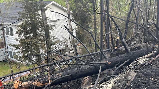 un incendie de forêt s'est déclaré près d'une résidence. 