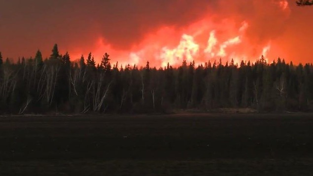 Une forêt en feux à Cranberry Portage. 