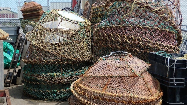 Paniers de pêche pour le crabe des neiges