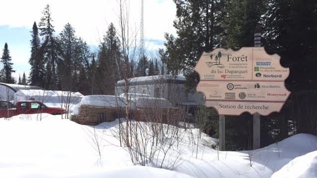 Forêt d'enseignement et de recherche du lac Duparquet Forêt d'enseignement et de recherche du lac Duparquet
