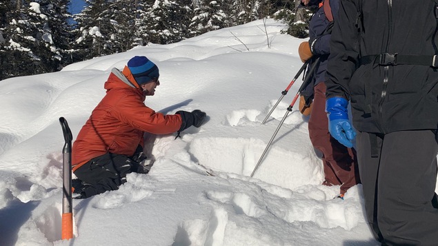 Des skieurs dans la neige