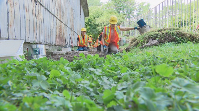 Des archéologues travaillant derrière la grange.