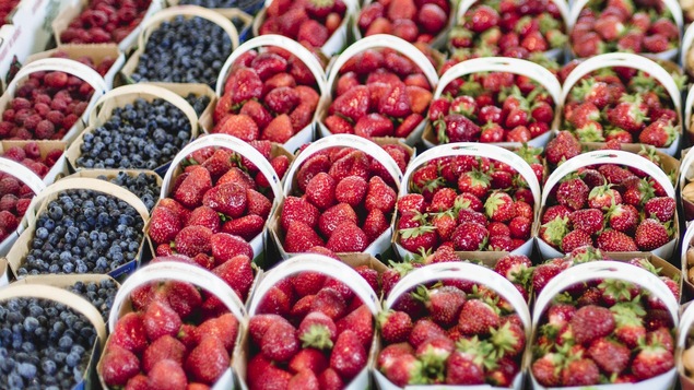 Des petits fruits du Québec