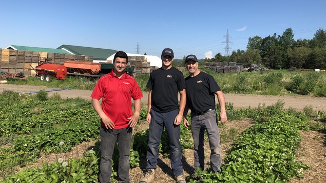 Keven et Alex Durette de la Fraisière Durette à St-Ulric en compagnie de leur père.