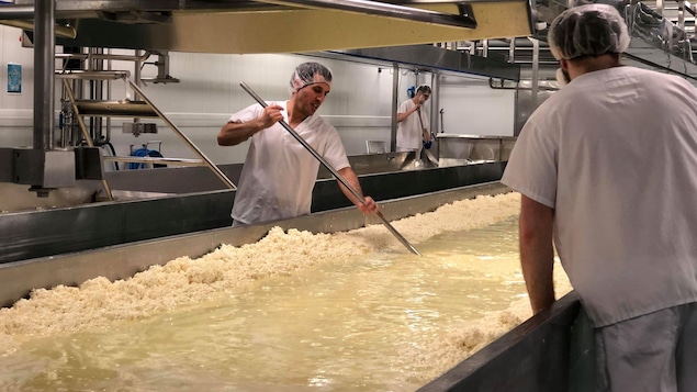 Deux hommes qui font du fromage.