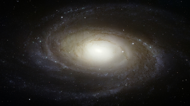 La galaxie spirale M81 La galaxie spirale M81