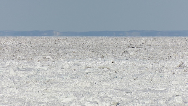 Glaces sur le fleuve