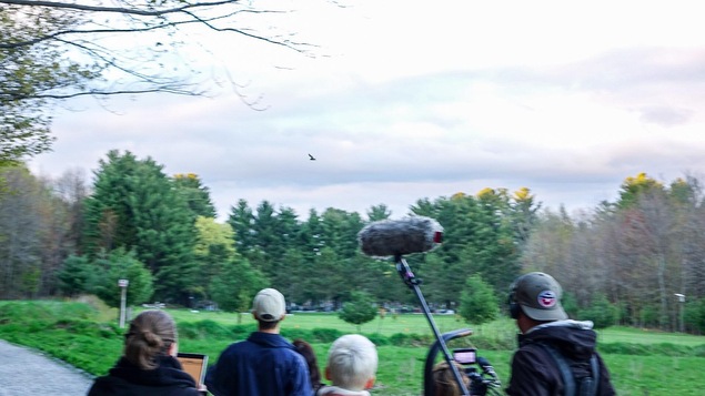 Au centre de l'écran, une grande chauve-souris brune qui prend son envol. Au bas de l'écran, une équipe de tournage Au centre de l'écran, une grande chauve-souris brune qui prend son envol. Au bas de l'écran, une équipe de tournage