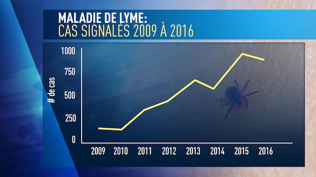 Un graphique démontre le nombre de cas signalés de la maladie de Lyme entre 2009 et 2016. Un graphique démontre le nombre de cas signalés de la maladie de Lyme entre 2009 et 2016.