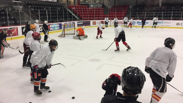 Joueurs de hockey