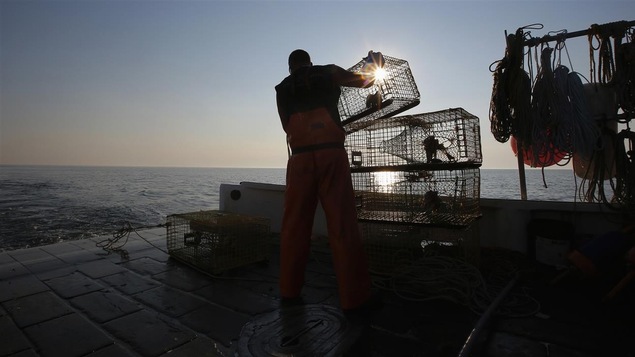 Un pêcheur de homard 