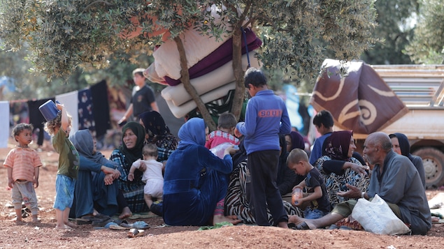 Des Syriens déplacés assis ensemble dans une oliveraie de la ville d'Atmeh, province d'Idleb