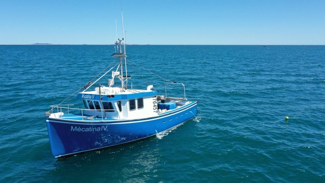 La bateau peut accueillir jusqu'à 12 touristes pour des excursions.