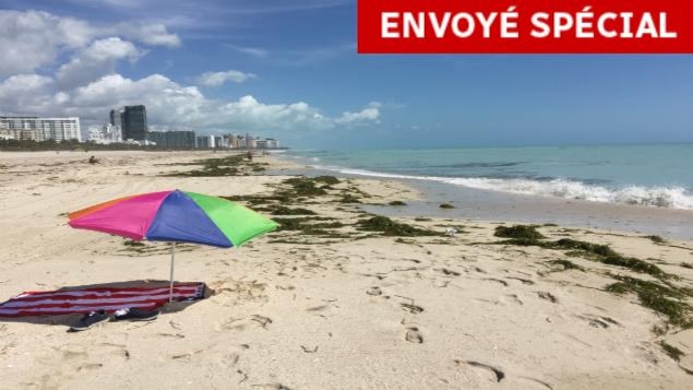Une plage de la Floride, après le passage de l'ouragan Irma Une plage de la Floride, après le passage de l'ouragan Irma