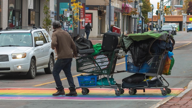 Une personne marche avec deux paniers d'épicerie au centre-ville de Moncton.