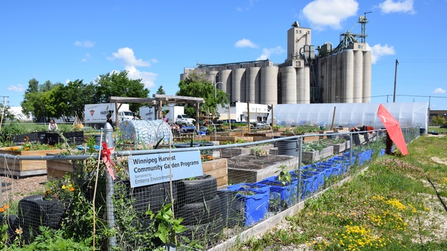 Le jardin communautaire de Moisson Winnipeg situé devant une grande usine.