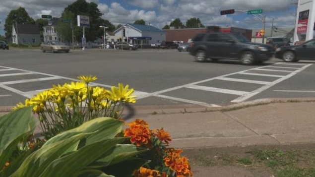 L'intersection principale de la municipalité de Kensington, à l'Île-du-Prince-Édouard. L'intersection principale de la municipalité de Kensington, à l'Île-du-Prince-Édouard.