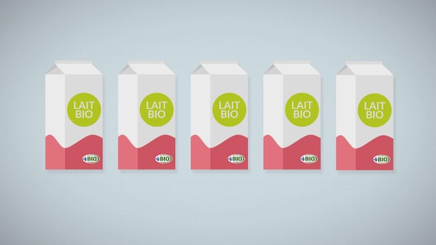 Images infographique de cartons de lait biologique.