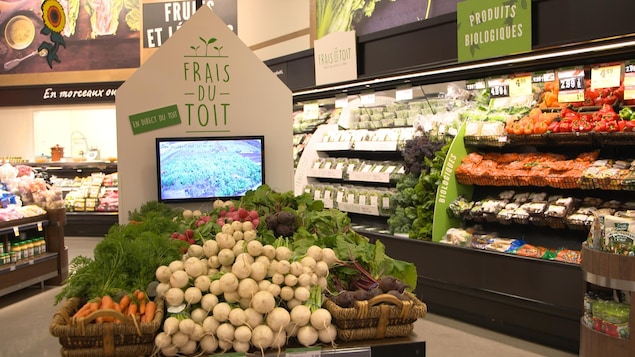 Des rayons de fruits et légumes dans une épicerie