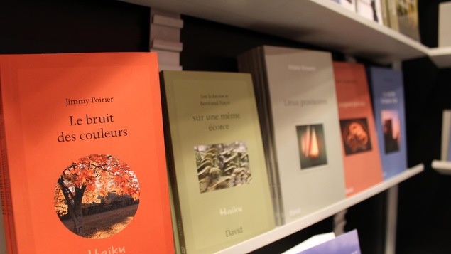 Plusieurs livres publiés par la maison littéraire Les Éditions David apparaissent sur une tablette, un à la suite de l'autre.