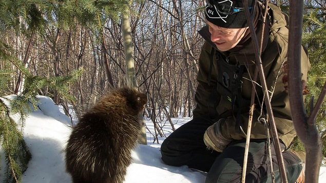 Un homme est agenouillé dans la neige et apprivoise un porc-épic sympathique.