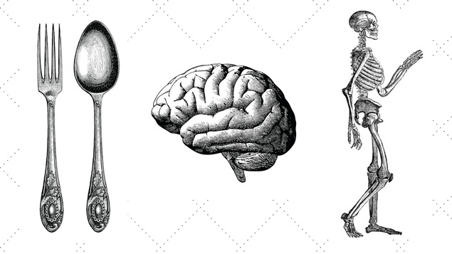 Des couverts, un cerveau et un squelette