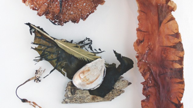 Les algues, source d'inspiration pour les artistes d'À Marée basse
