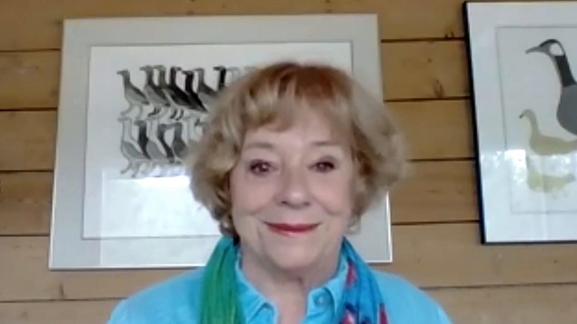 La femme est en entrevue via la vidéoconférence. La femme est en entrevue via la vidéoconférence.