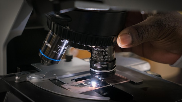 On voit en gros plan une main qui est en train de changer les lentilles d'un microscope.