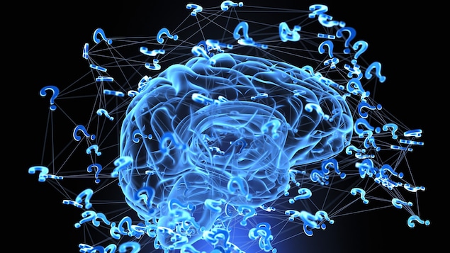 Un cerveau modélisé en trois dimensions entouré de points d'interrogation.