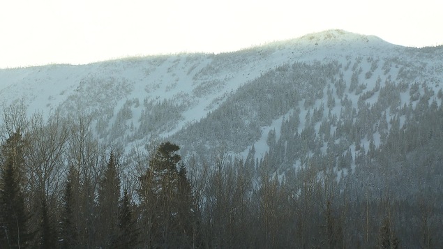Le mont Lyall, en Gaspésie, a été l'hôte de deux évacuations depuis le début de la saison de ski hors-piste.