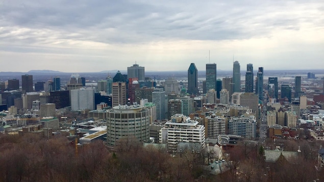 Le centre-ville de Montréal, vu du sommet du mont Royal Le centre-ville de Montréal, vu du sommet du mont Royal