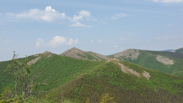 Les crêtes des monts Vallières en été, dans les Chic-Chocs.