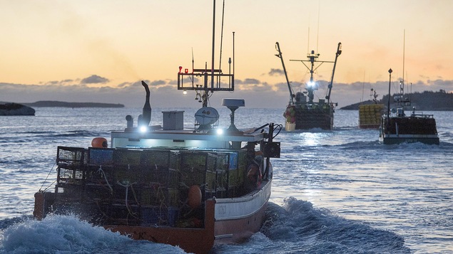 Pêches et Océans a avisé de nombreux pêcheurs que leur permis était suspendu parce qu'il les soupçonne d'agir comme prête-noms pour des entreprises.